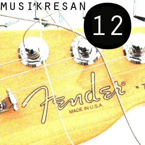 MUSIKRESAN 012