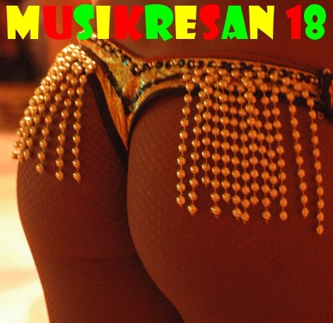 MUSIKRESAN 018