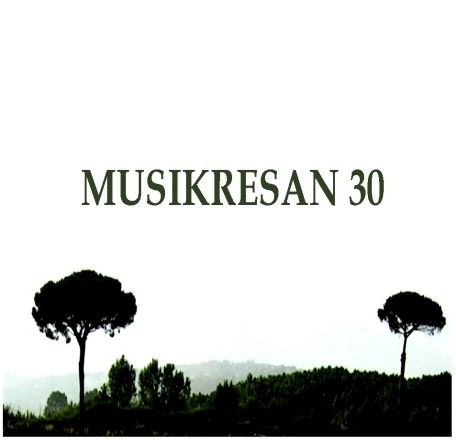 MUSIKRESAN 030