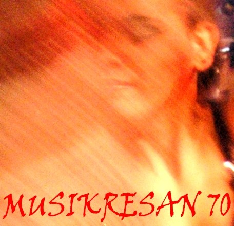 MUSIKRESAN 070