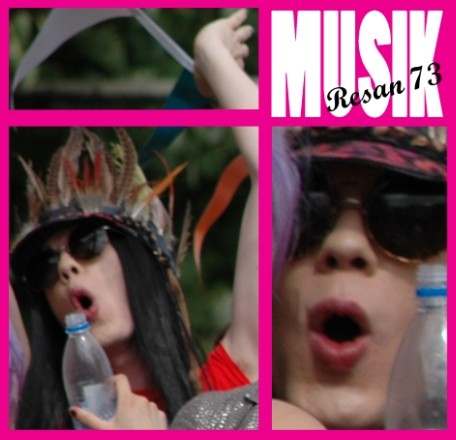 MUSIKRESAN 073