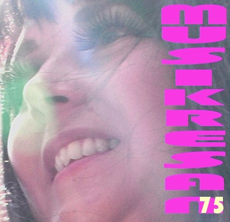 MUSIKRESAN 075