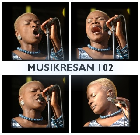 MUSIKRESAN 102