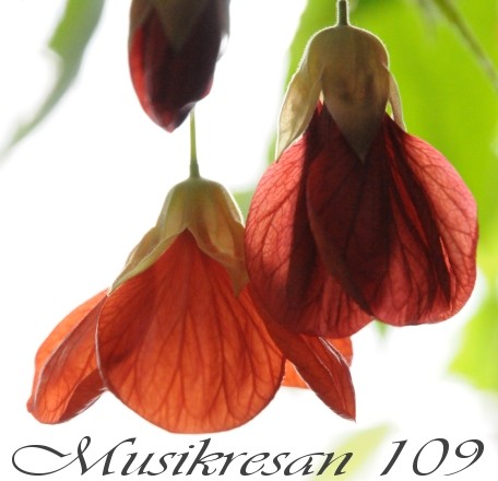 MUSIKRESAN 109