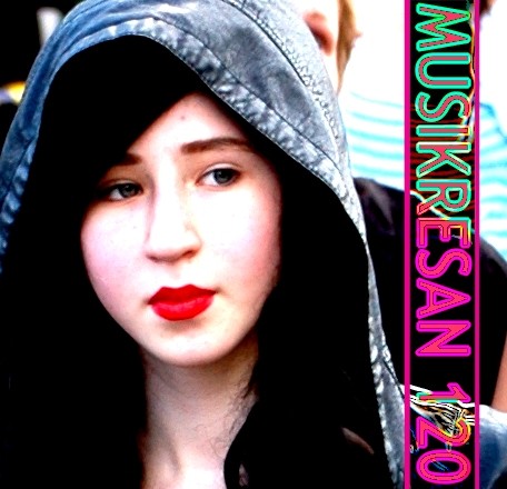 MUSIKRESAN 120
