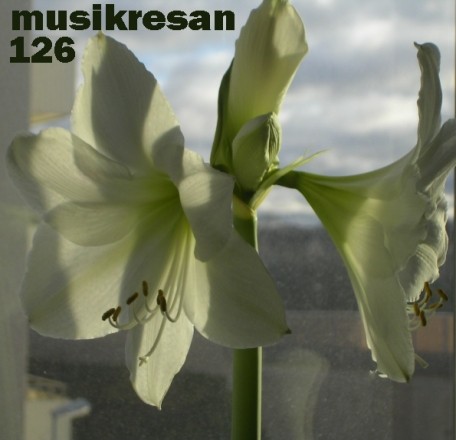 MUSIKRESAN 126