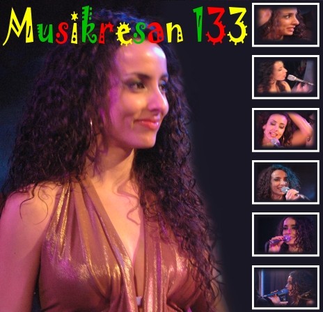 MUSIKRESAN 133