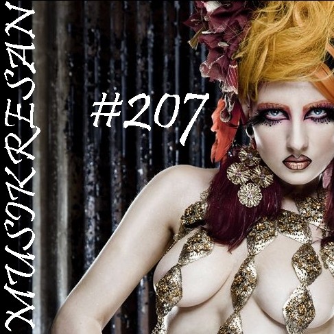 MUSIKRESAN 207