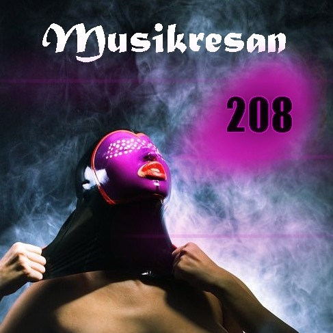 MUSIKRESAN 208