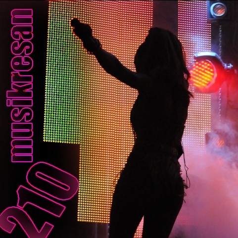 MUSIKRESAN 210