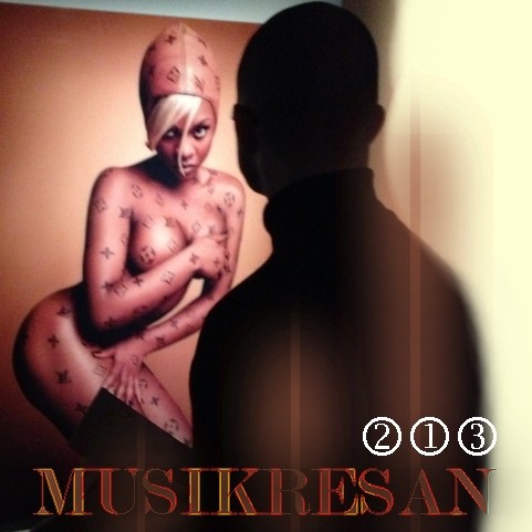 MUSIKRESAN 213