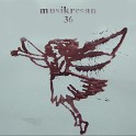 MUSIKRESAN 036