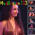 MUSIKRESAN 133